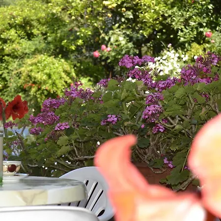 Geroulis Stefanos * ואסיליקי